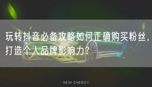 玩转抖音必备攻略如何正确购买粉丝，打造个人品牌影响力？