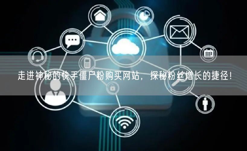 走进神秘的快手僵尸粉购买网站，探秘粉丝增长的捷径！