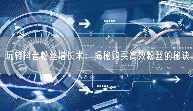 玩转抖音粉丝增长术：揭秘购买高效粉丝的秘诀