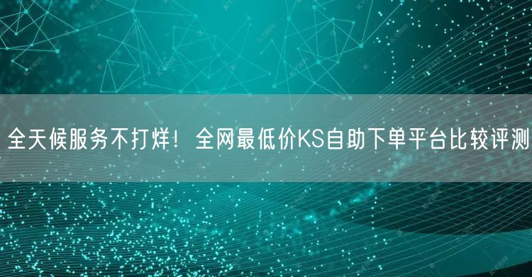 全天候服务不打烊！全网最低价KS自助下单平台比较评测