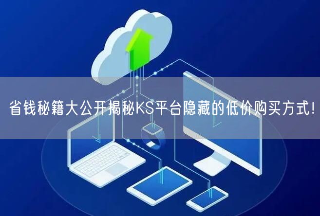 省钱秘籍大公开揭秘KS平台隐藏的低价购买方式！