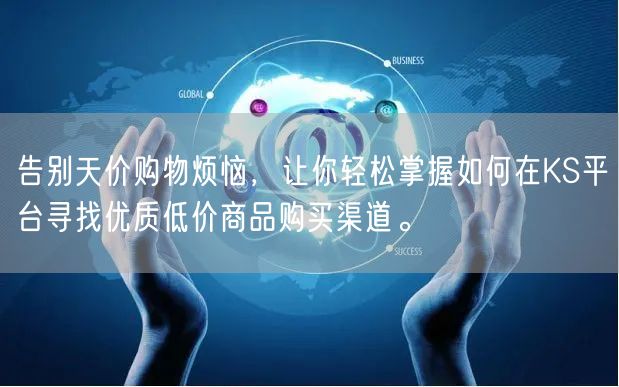 告别天价购物烦恼，让你轻松掌握如何在KS平台寻找优质低价商品购买渠道。
