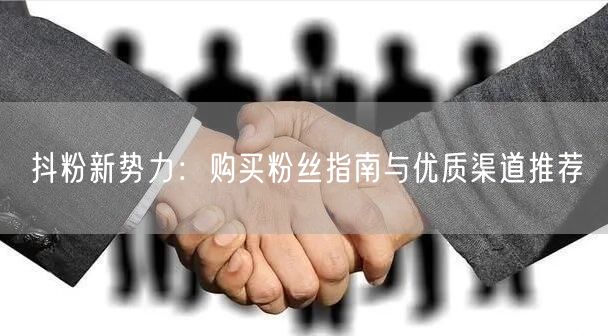 抖粉新势力：购买粉丝指南与优质渠道推荐