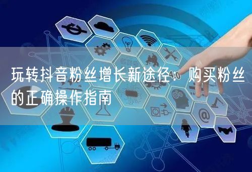 玩转抖音粉丝增长新途径：购买粉丝的正确操作指南