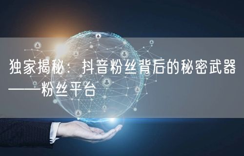 独家揭秘：抖音粉丝背后的秘密武器——粉丝平台