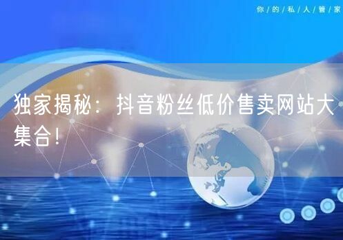 独家揭秘：抖音粉丝低价售卖网站大集合！