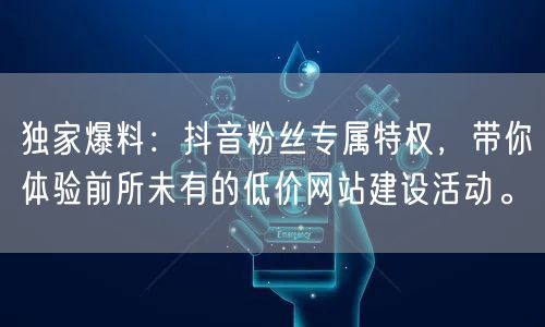 独家爆料：抖音粉丝专属特权，带你体验前所未有的低价网站建设活动。