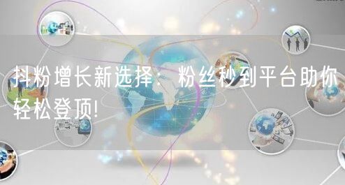 抖粉增长新选择：粉丝秒到平台助你轻松登顶!